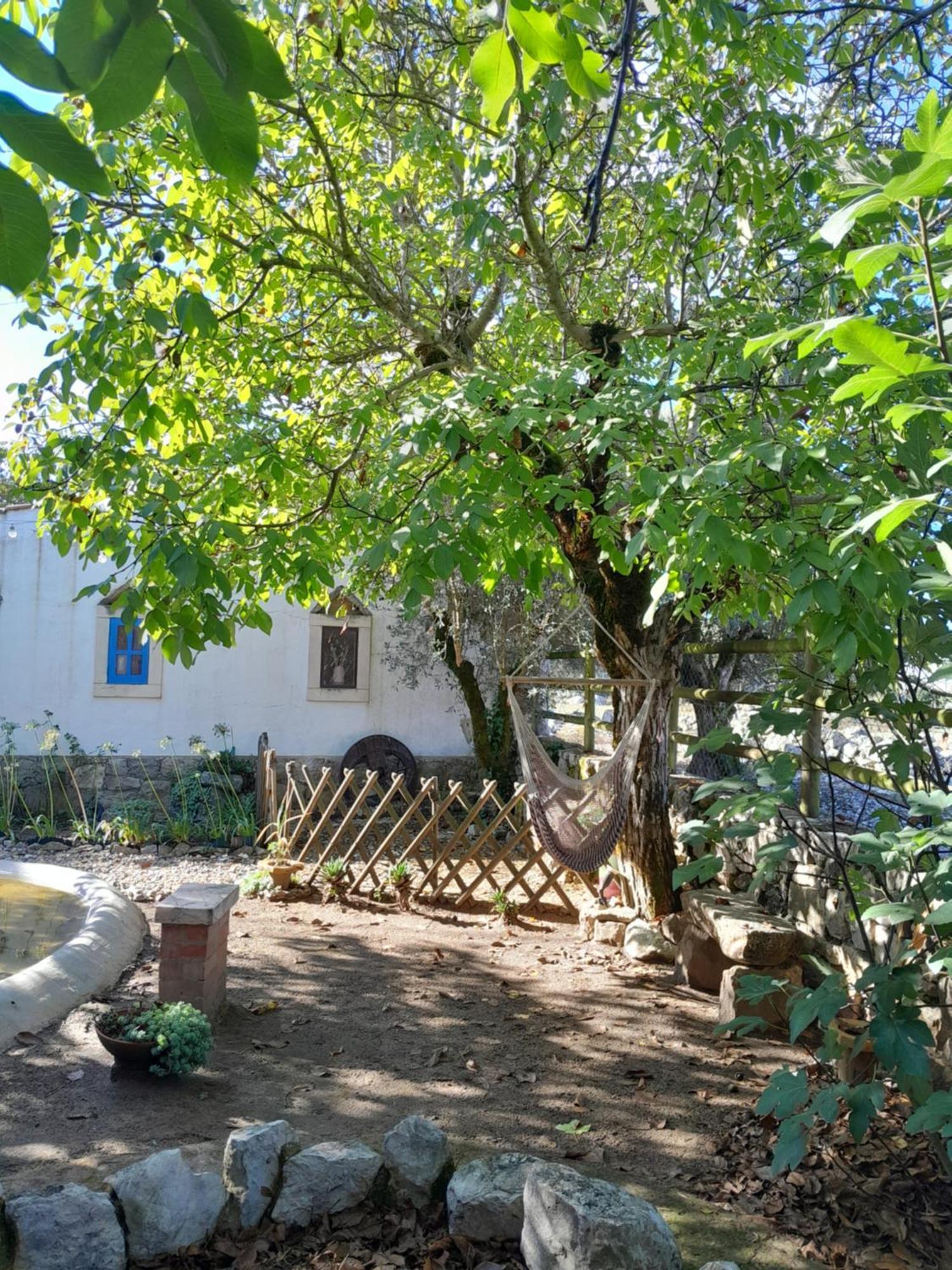 Refugio Das Artes Porto de Mos  Exterior photo